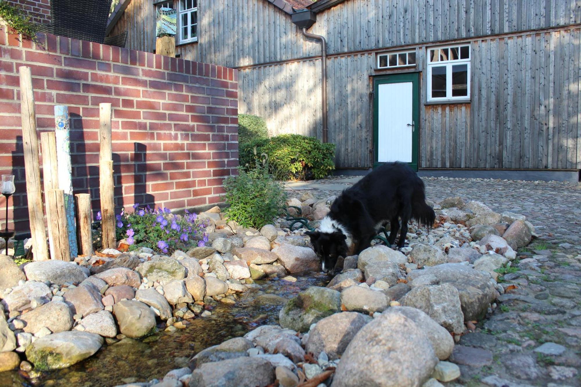 Landgasthof Wildwasser Wolthausen ภายนอก รูปภาพ